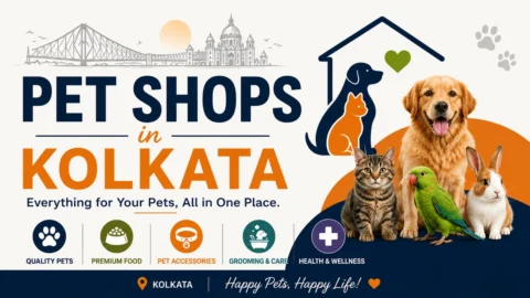 Pet-Shop-in-Kolkata